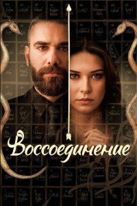 Воссоединение (1-2 сезон)