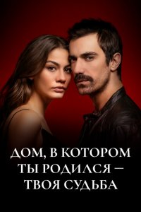Дом, в котором ты родился - твоя судьба (1-2 сезон)
