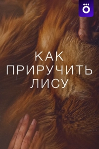 Как приручить лису (фильм 2024)