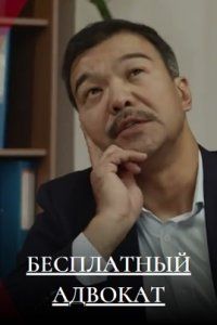 Бесплатный адвокат (1 сезон)