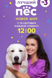Лучший пёс (1 сезон)